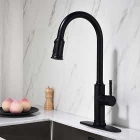 Stainless steel kitchen faucet (Default: Default)